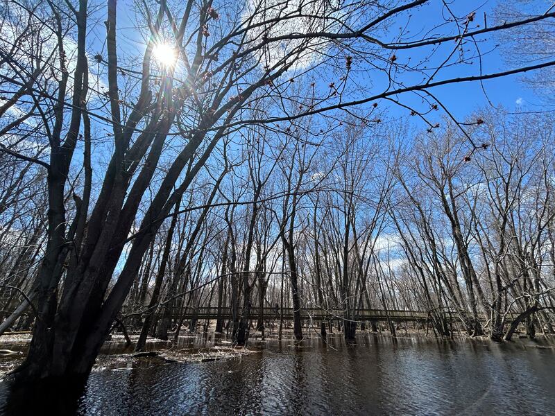 Zodiac excursion at Sept-Îles. Photograph: Gemma Tipton