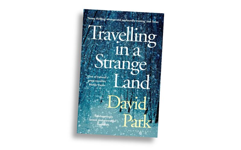 100 best Irish books of the 21st century -Travelling in a Strange Land by David Park