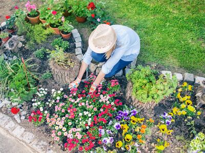 Planning is only one part of the process as your creativity and skill will inform your planting as you do it. Photograph: Getty