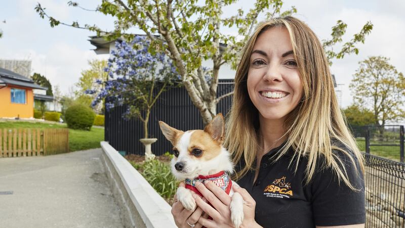 Kennel carer Tanya Clarke in The Shelter: Animal SOS