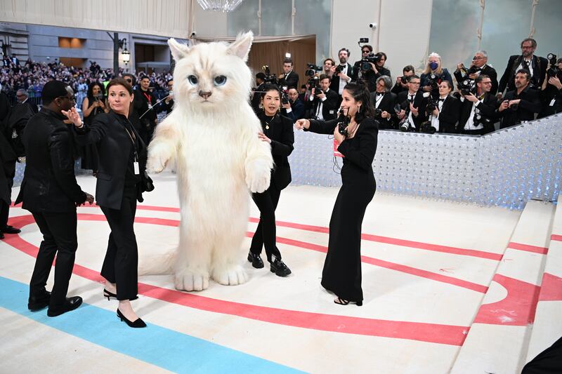 Jared Leto, dressed in a cat suit, at the Metropolitan Museum of Art's Costume Institute. Photograph: Nina Westervelt/The New York Times