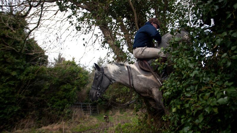From the book of photographs  The Republic: A rider displays his horsemanship riding over a hedge on the Killinick Hunt in Grange, Co Wexford, part of the exhibition Home is Another Place at the Little Museum of Dublin. Photograph: Seamus Murphy