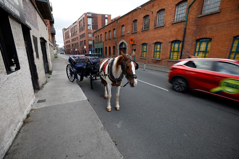 Padser and his mare Christine. Photograph: Nick Bradshaw