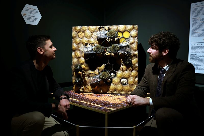 Dr Aidan O'Hanlon, curator of entomology, and Tiernan Gaffney, curator of the Irish Folklife Collection, at the launch of The Murmur of Bees at National Museum of Ireland - Country Life. Photograph: Jason Clarke