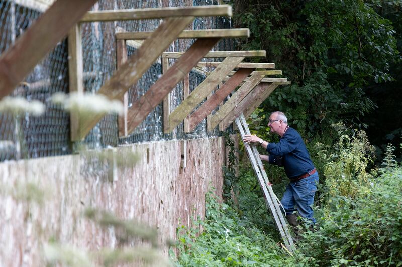 Dr Philip Buckley of the NPWS, southwest region division manager, prepares the white-tailed sea eagles holding pens on a farm in Kerry before the birds' release into the wild. Photograph: Chris Maddaloni
