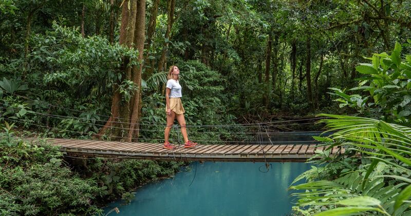 A tropical rainforest in Costa Rica. Photograph: Getty