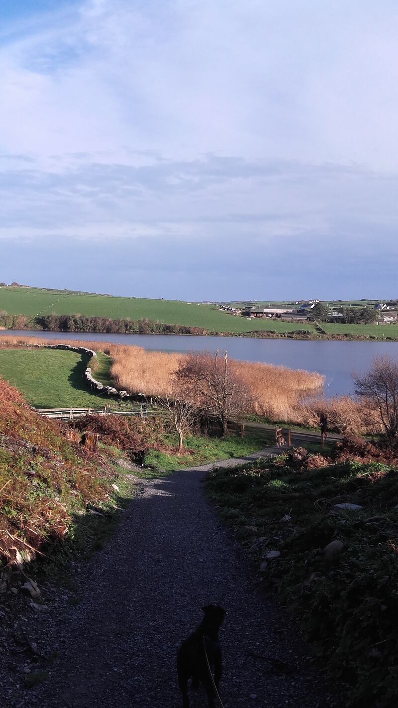 Sara Baume's walking route