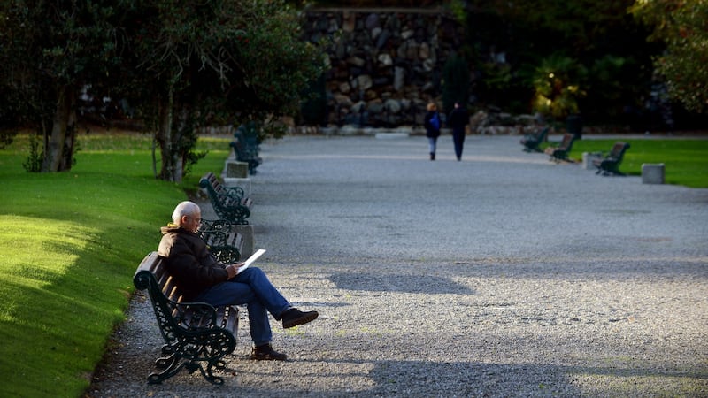 A man drawing in the late afternoon sunshine in Iveagh Gardens, Dublin. File photograph: Aidan Crawley