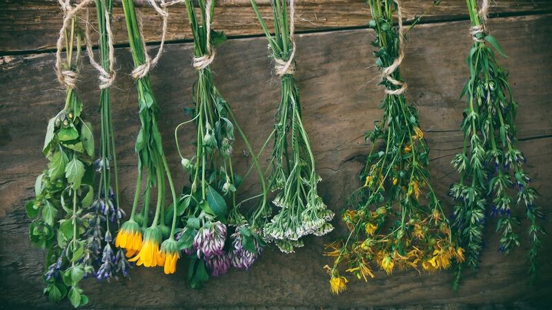 For straight stems, hang your flower bunches upside down in a warm, dry, dark, well-ventilated space. Photograph: iStock