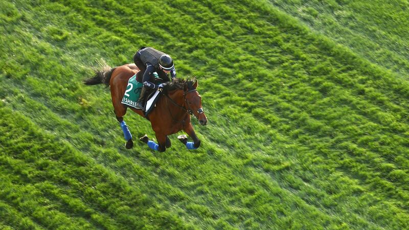 The versatile Mishriff could be one of the starts of the flat season. Photograph: Francois Nel/Getty