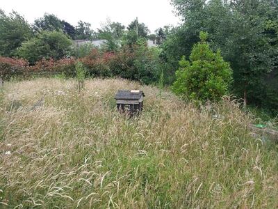Bee hive in wildflower meadow at St Brigid's National School in Stillorgan.