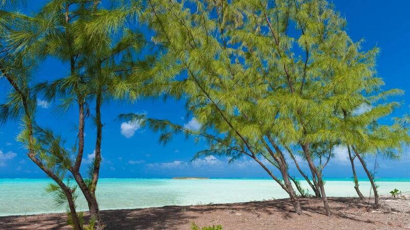 WEST INDIES: TURKS AND CAICOS