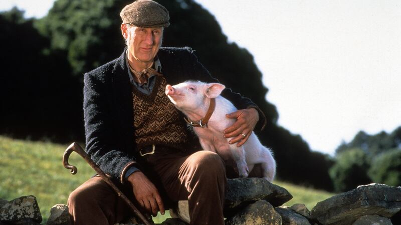 James Cromwell in Babe. The actor and activist has also appeared in The Green Mile, LA Confidential and, most recently, the TV series Succession