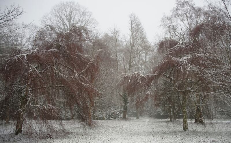 Emo Court park, Laois, on a wintry morning.