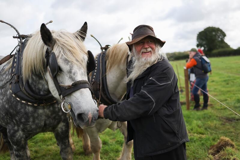 Gerry King from Co Kerry with his horses competing in the horse ploughing event. Photograph: Dan Dennison