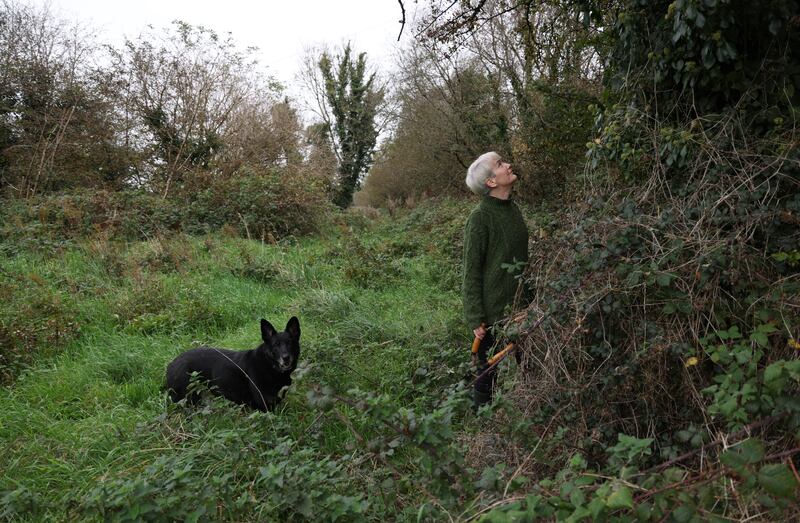 Catherine Cleary in the forest that she and her family are growing in rural Roscommon. Photograph: Bryan O’Brien