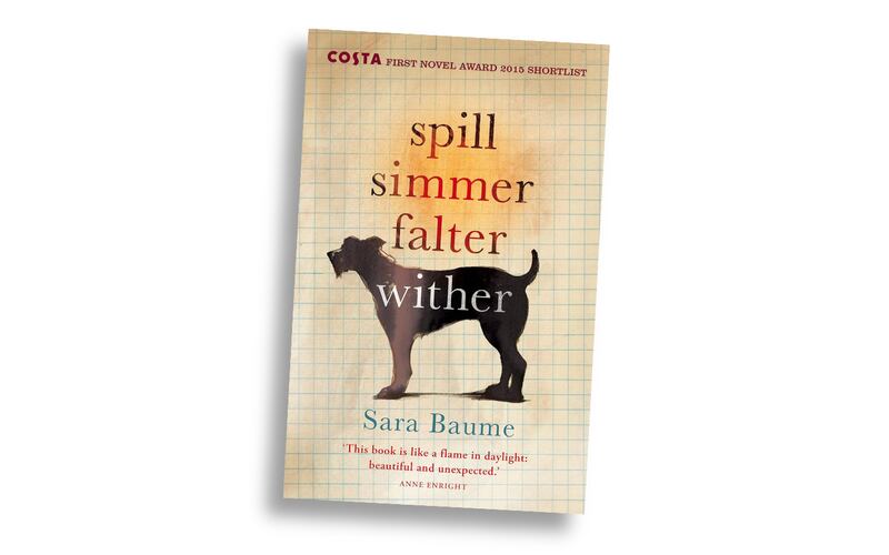 100 best Irish books of the 21st century - Spill Simmer Falter Wither by Sara Baume