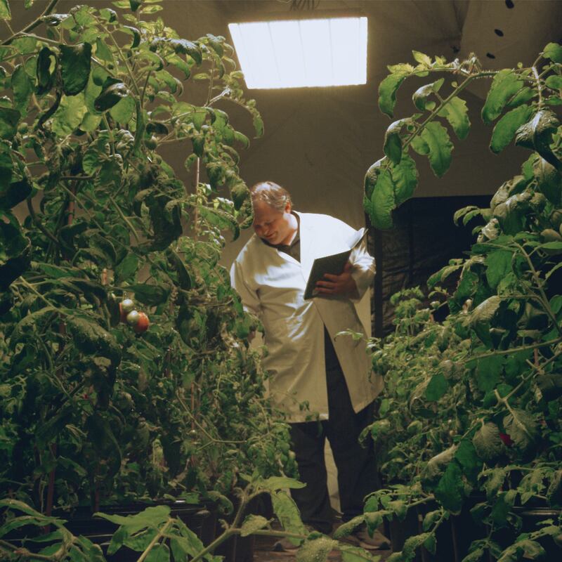 Heinz Marz Edition: tomatoes being grown in Mars-like conditions