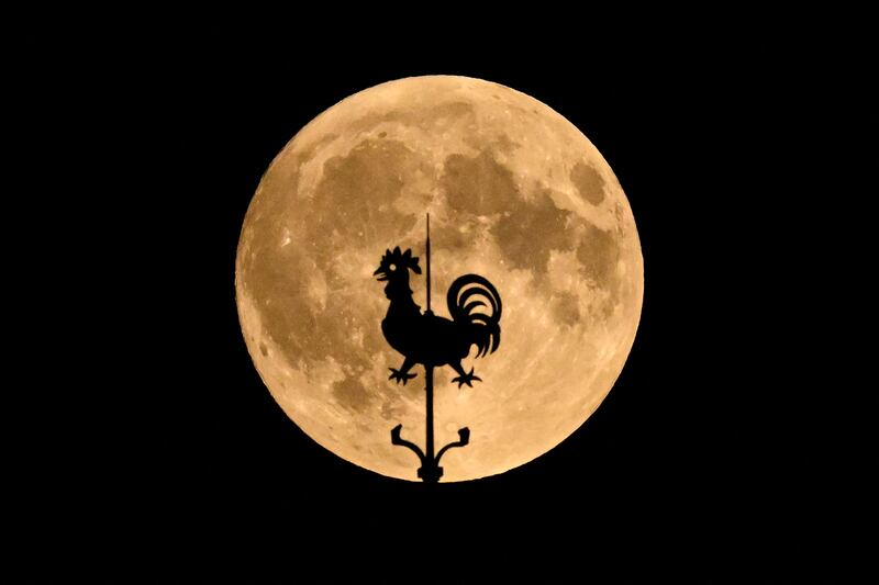 Germany: Harvest moon behind the weathercock atop the Church of the Three Kings in Frankfurt. Photograph: Kirill Kudryavtsev/AFP/Getty Images
