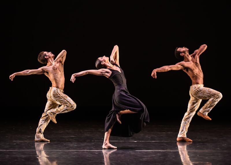 Bogéa commissions choreographers from everywhere to make new dances. Photograph: Christie Seaver