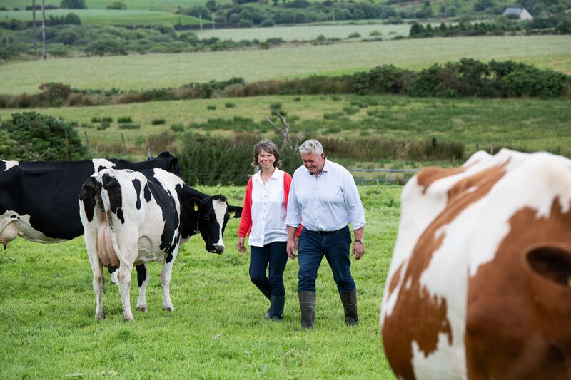 Alan and Valerie Kingston, Glenilen Farm Co Cork