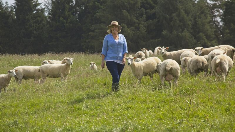 Sheep farmer Blatnaid Gallagher among her flock of Galway Sheep in Aughrim, Co Galway. Photograph: David Ruffles