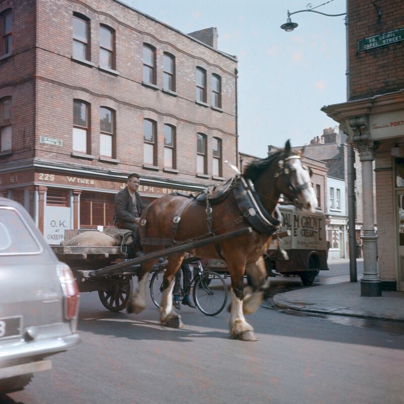 Capel Street, Horse by Helen Hooker O’Malley