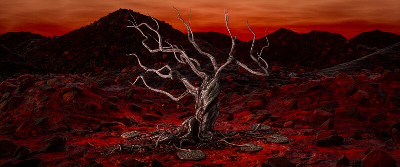The Song of the Bleeding Tree by Aideen Barry. Digital still from the moving image work of the same name, original film - digital print on fine art paper