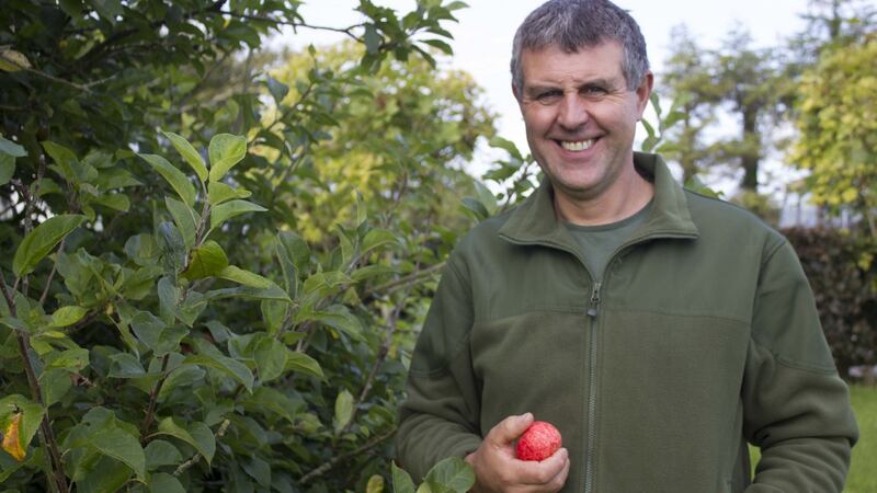Roscommon cattle and sheep farmer Pádraic Corcoran:   he has been encouraging barn owls into the old buildings on his farm. Photograph: Johnny White