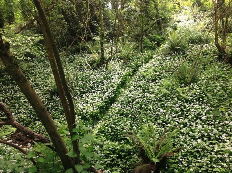 This Too Will Pass, by Richard Long. Photograph courtesy of the artist