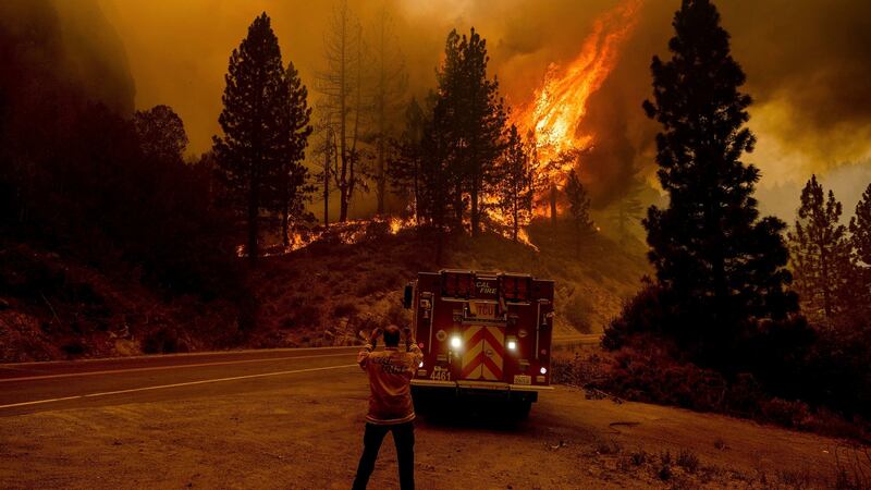 A firefighter prepares to battle the Sugar Fire, part of the Beckwourth Complex Fire, in Plumas National Forest, California, on Thursday. Photograph: Noah Berger/AP Photo