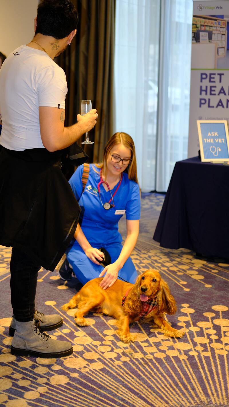 Hilton Dublin Kilmainham Pet Day 