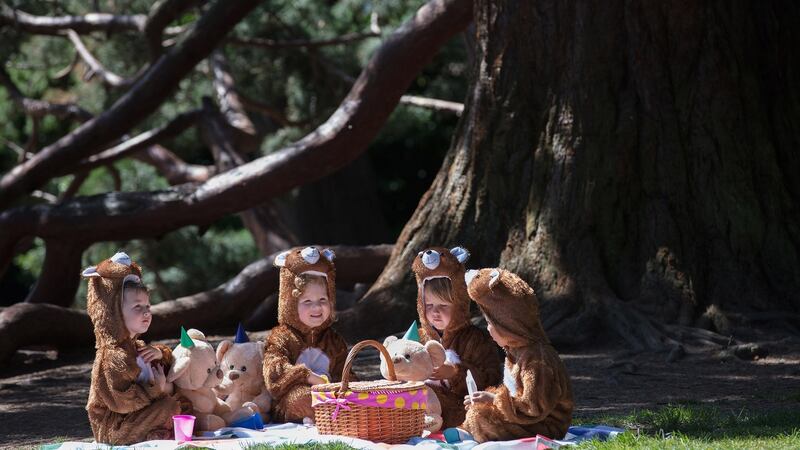 Visit Airfield Estate on June 24th for an exciting Teddy Bear themed family fun day  for Barnardos.