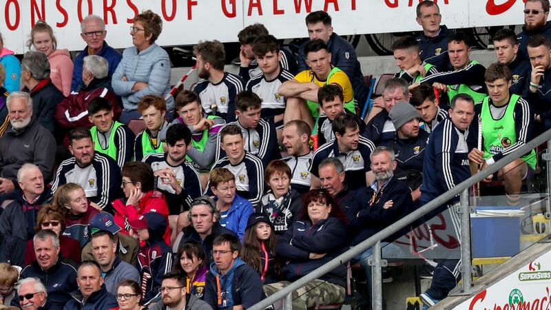 Wexford manager Davy Fitzgerald is sent to the stands. Photograph: Oisín Keniry/Inpho