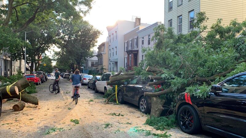 People bike in a street previously blocked by a fallen tree in the Greenpoint area of Brooklyn New York on August 4th, 2020. Photograph: Diane Desobeau/AFP via Getty Images