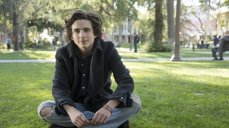 Timothée  Chalamet who stars opposite Steve Carell in Beautiful Boy