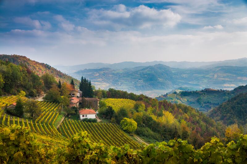 Piemonte. Photograph: Getty Images