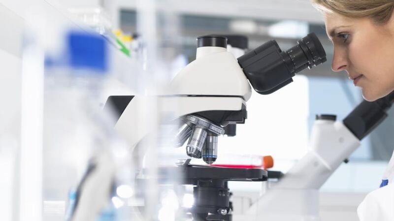 “In 2000, the EU set a goal to raise the R&D investment to 3 per cent of GDP, but two decades later we are barely above 2 per cent.” Photograph: Rafe Swan/Cultura/Getty