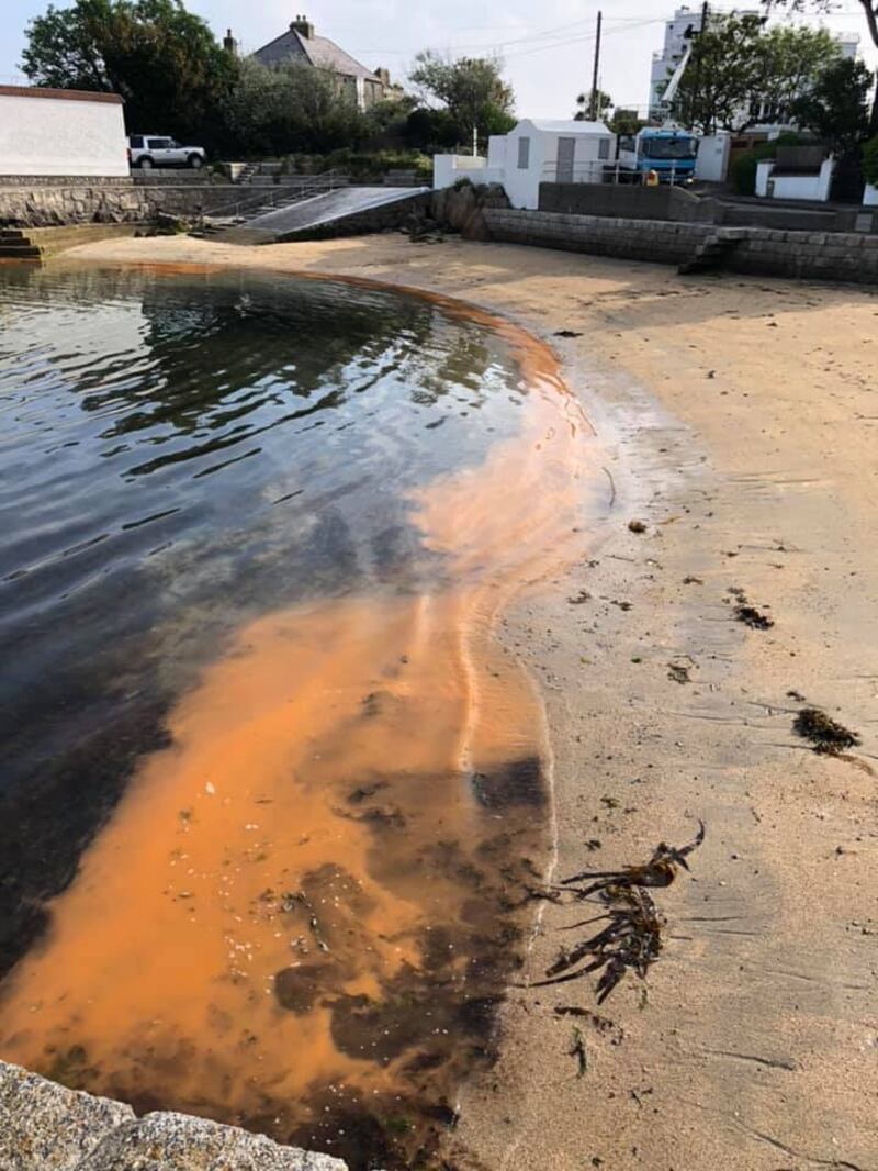 A view of the water at Sandycove in Dublin on Tuesday morning. Photograph: Flossie and The Beach Cleaners/Facebook