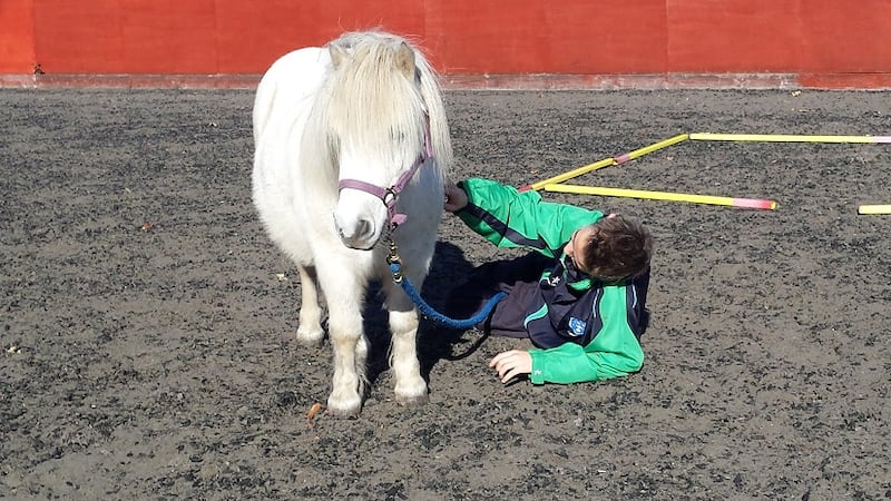 Relaxing with Sean as part of an Equine Assisted Learning Session.