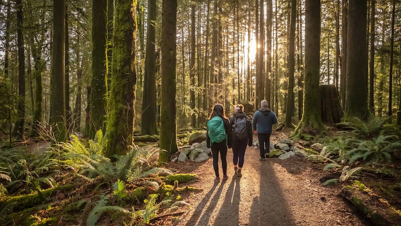 Mature father and Eurasian daughters hiking in Mt. Seymour Provincial Park, North Vancouver, British Columbia, Canada