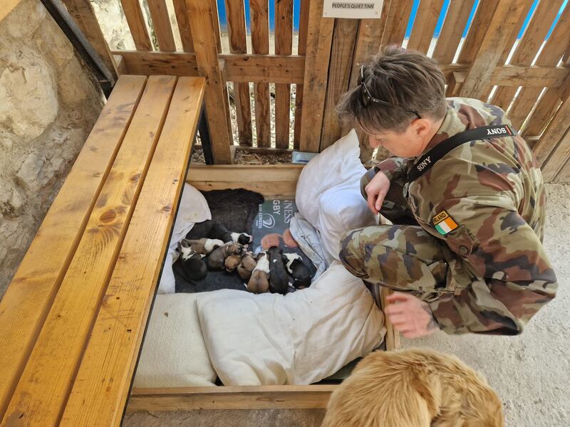 Commandant Lisa McMahon with litter of puppies born to camp dog Kala at Undof's Camp Faouar. Photograph: Conor Gallagher