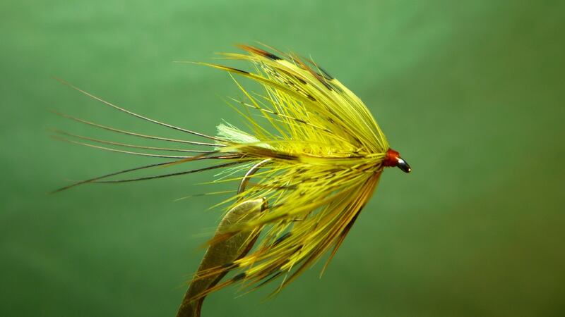 Golden Olive Wet Mayfly, tied by Jimmy Tyrrell