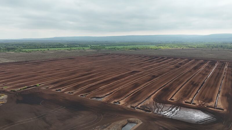 Peat extraction is subject to several legal restrictions in Ireland, and many sites have not received the required permissions. Photograph: EPA