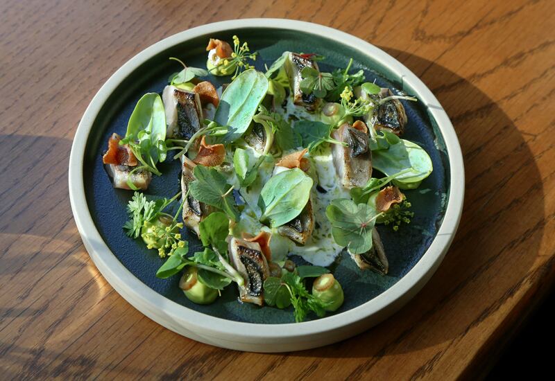 Line caught mackerel, fennel emulsion and crispy parsnip at Daróg Wine bar in Galway. Photograph: Joe O'Shaughnessy