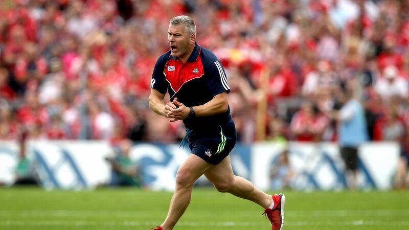 Cork passion: Mentor and former star Diarmuid O’Sullivan celebrates a score against Clare. Photograph/ Ryan Byrne/Inpho