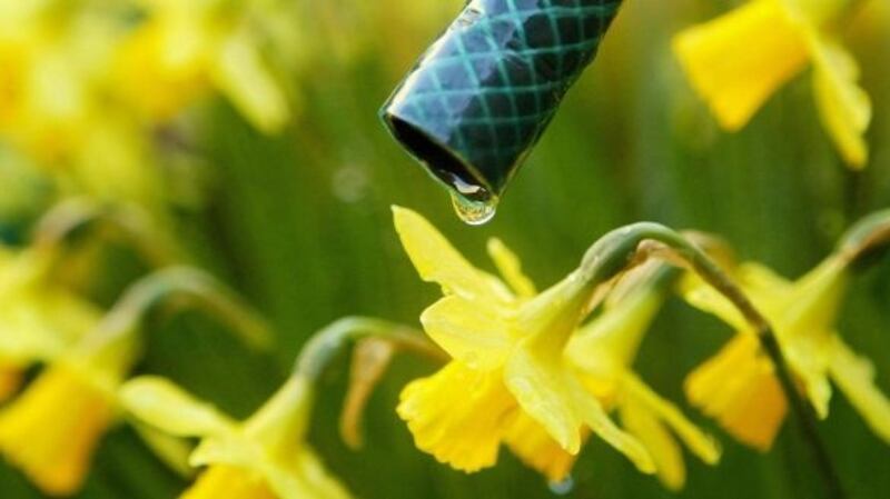 The announcement of a six-week nationwide hosepipe ban has led to a significant reduction in water use in the Greater Dublin region, Irish Water has said, but the potential for drought remains in many areas. File photograph: Gareth Fuller/PA.