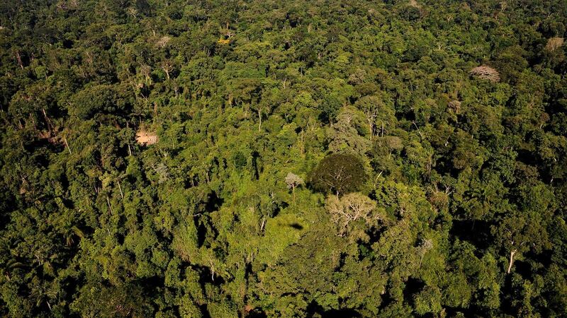 A file photo  of the Amazonic forest reserve of Trairao, western Para state in  northern Brazil where president Michel Temer’s has issued a decree to boost the mining industry. Photograph: Lunae Parracho/AFP/Getty Images.