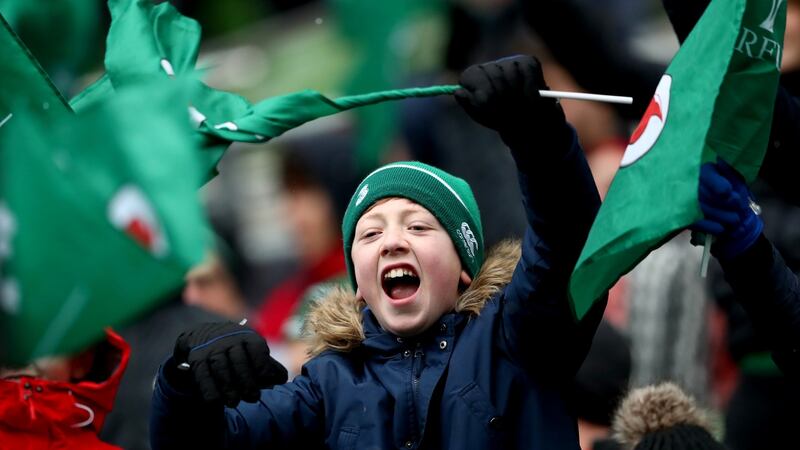 An Ireland supporter during an open training session at the Aviva. Photograph: James Crombie/Inpho