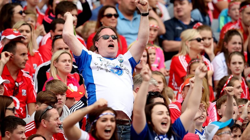 A Waterford fan celebrates a score in the semi-final: Photograph: Ryan Byrne/Inpho